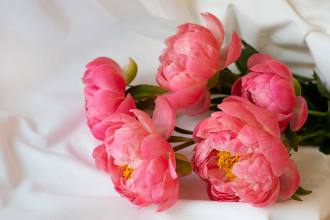 BURDIN FLEURS