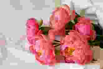 ANN'FLEURS