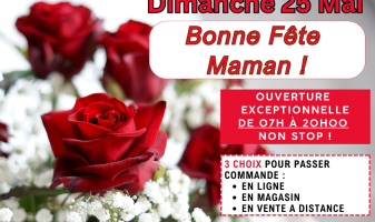 fete-des-meres-france-2025-681a4e13ea944