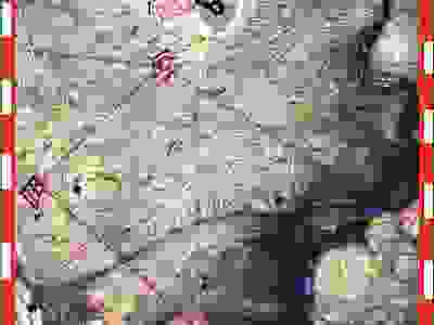 visuel