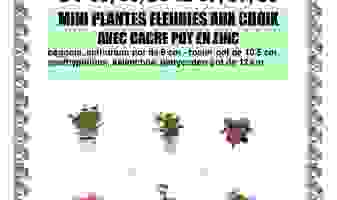 affiche-promo-mini-plante-juin-2025-pdf-page-0001-683da80adec9d