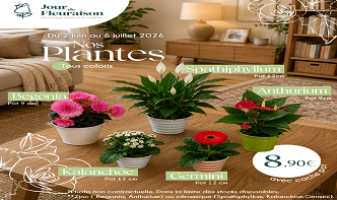 plantes-6a1febee916b4