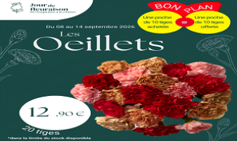 oeillets-20-tiges-cote-ass-6a9fe2bfe9cef