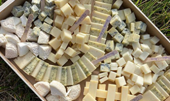 images-carrousel-cote-annemasse-1-65255a53bfccb images-carrousel-cote-annemasse-1-65255a53bfccb