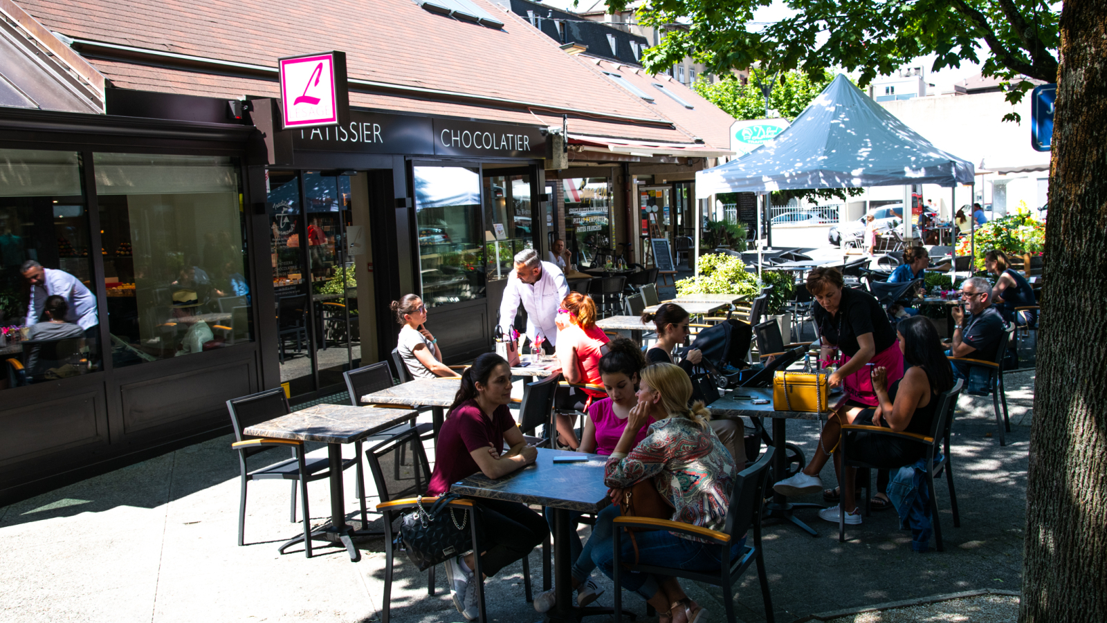 dsc-0116-633c396c64284 dsc-0116-633c396c64284