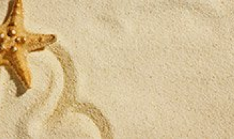 v-etoile-de-mer-plage-pret-a-partir
