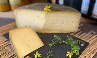 images-carrousel-cote-annemasse-3-65255a53c080c images-carrousel-cote-annemasse-3-65255a53c080c