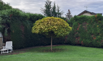 v-amenagement-exterieur-lb-habitat