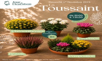 toussaint-2026-cote-ass-6ac4f70b84dd7