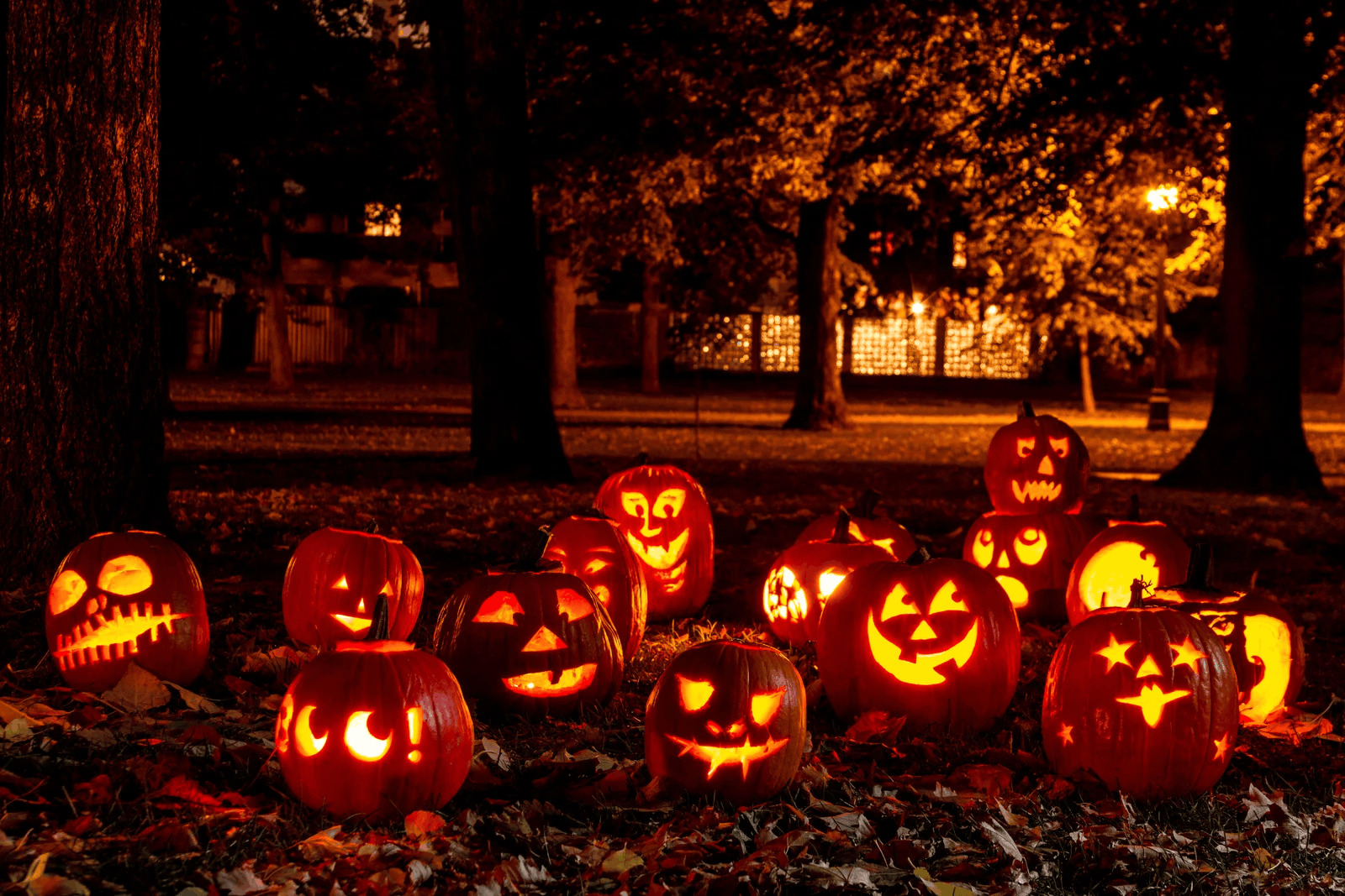 v-citrouilles-halloween-2026