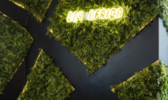 v-mur-vegetal-le-224