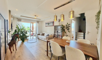 v-piece-de-vie-ng-immobilier