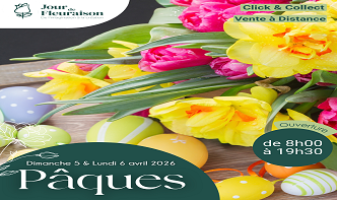 paques-cote-ass-69ca500ebd20d