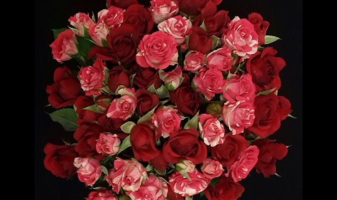 rose-buisson-10-tiges-photo-6911e3c9989dd