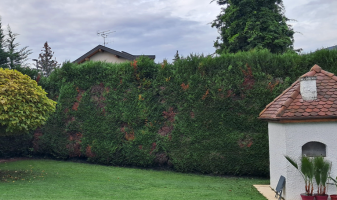 v-amenagement-paysager