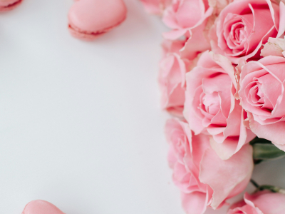 birgith-roosipuu-tepm2q8odkq-unsplash birgith-roosipuu-tepm2q8odkq-unsplash