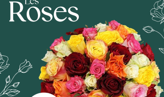 roses-50-tiges-tsd-69b7c2dbe0d8b