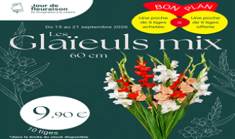 Offre spéciale sur les glaieuls variés du 15 au 21.09.2026 !