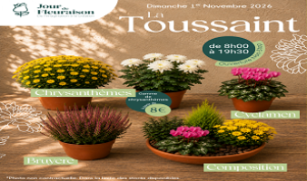 Offre spéciale fête de la Toussaint du 07.10 AU 02.11.2026 !
