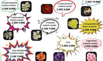 Offre spéciale black friday du 25.11 au 01.12 !