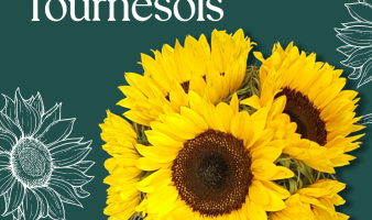 Offre spéciale sur les bouquets de tournesols du 21 au 27.07 !