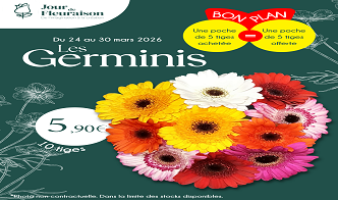 Offre spéciale sur les germinis mélangés du 24 au 30.03 !