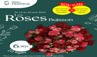 Offre spéciale sur les roses buissons du 14 au 24.04 !