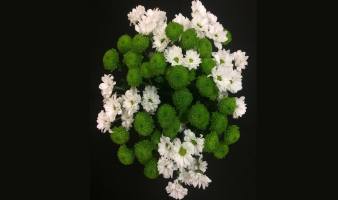 Offre spéciale sur les bouquets de santini varié du 02 au 08.12 !