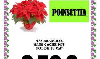 Offre spéciale sur le poinsettia du 03.11 au 01.12 !