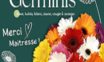 Offre spéciale sur les bouquets de germinis du 23.06 au 06.07 !