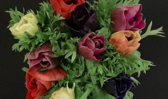 Offre sur les bouquets d’anémones du 16 au 22.12 !