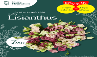 Offre spéciale sur les lisianthus variés du 18 au 24.08 !