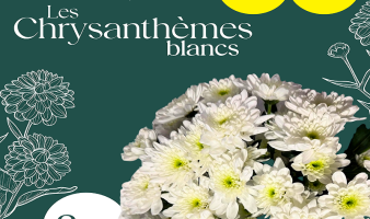 Offre spéciale sur les chrys. Euro blancs du 01 au 07.09.2026 !