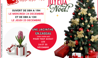 Offre pour les fêtes de fin d'année du 09.12 au 05.01.2026 !