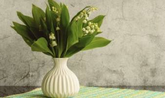 Offre spéciale sur le muguet du 28.04 au 01.05 !