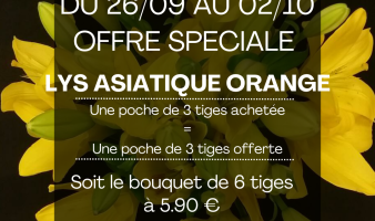 OFFRE SPECIAL SUR LES BOUQUETS DE LYS ASIATIQUE ORANGE DU 26.09 AU 02.10