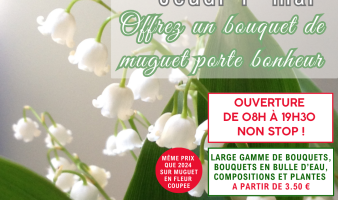 OFFRE SPECIALE SUR LE MUGUET DU 28.04 AU 01.05 !