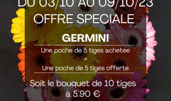 OFFRE SPECIALE SUR LES GERMINIS DU 03.10 AU 09.10 !